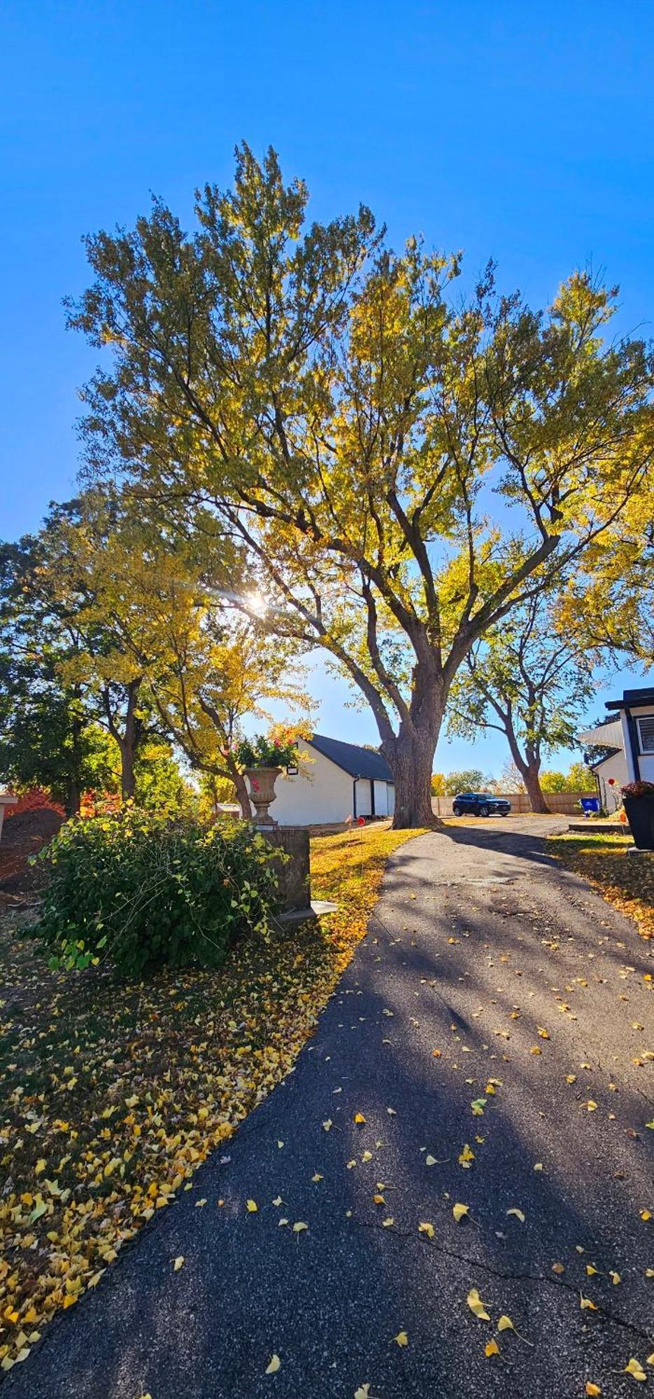 1908 Modern Farmhouse On Large Private Treed Lot Shawnee Exteriér fotografie